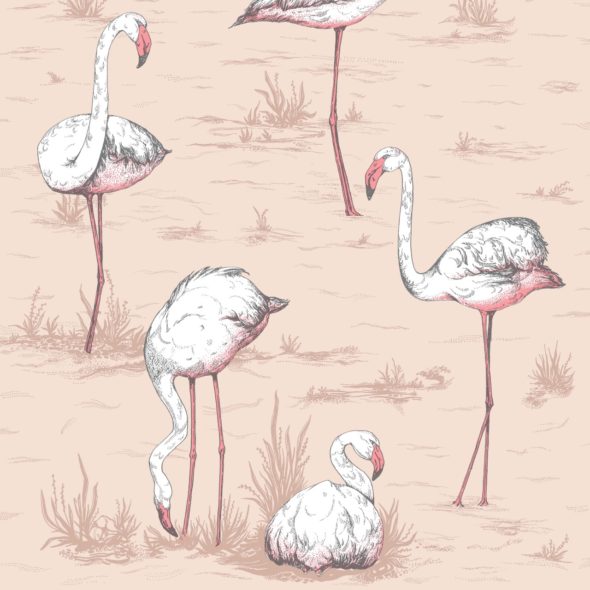 Flamingos 112-11039 wallpaper Icons Cole & So