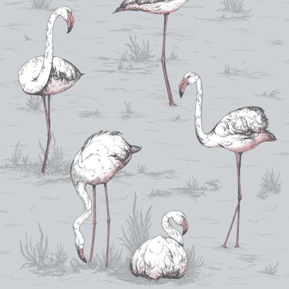 Flamingos 112-11040 wallpaper Icons Cole & SOn