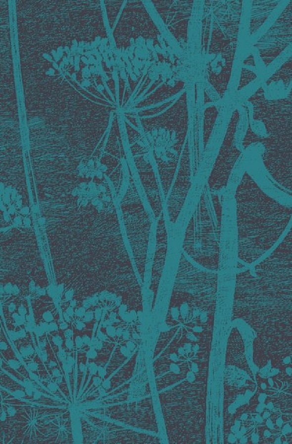 Cow Parsley 112-8030 wallpaper Icons Cole & Son