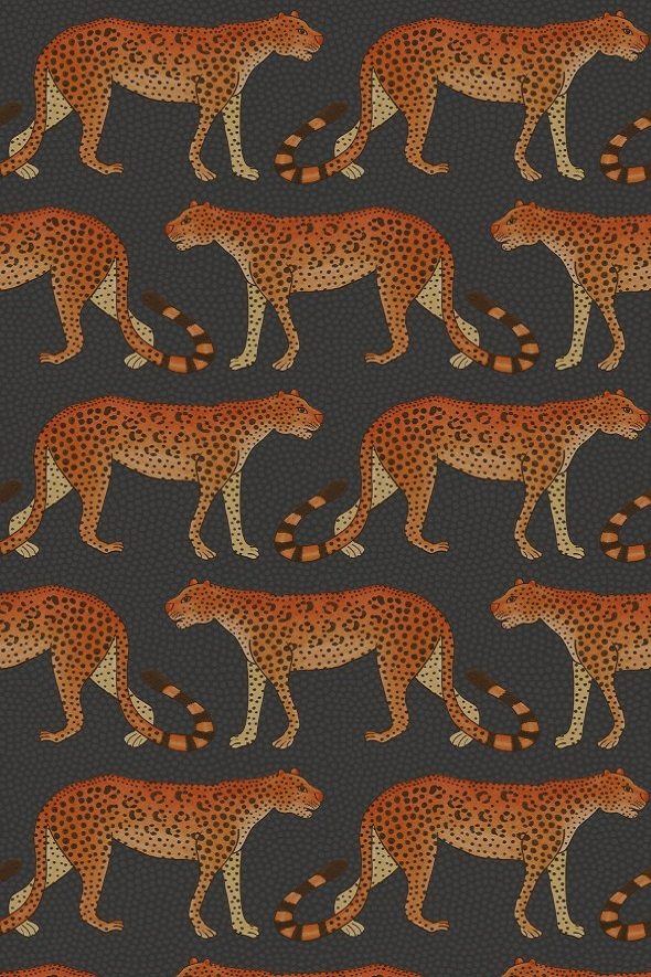 Leopard Walk 109-2008 wallpaper