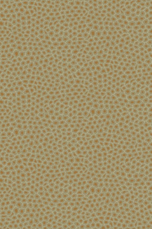 Senzo Spot 109-6029 wallpaper -Ardmore