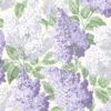 C&S_Botanical ~Botanica~_Lilac ~Syringa vulgaris~ 115-1004_RGB