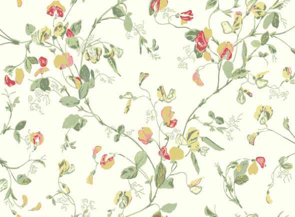 Sweet Pea 100-6027 wallpaper Botanical Cole & Son