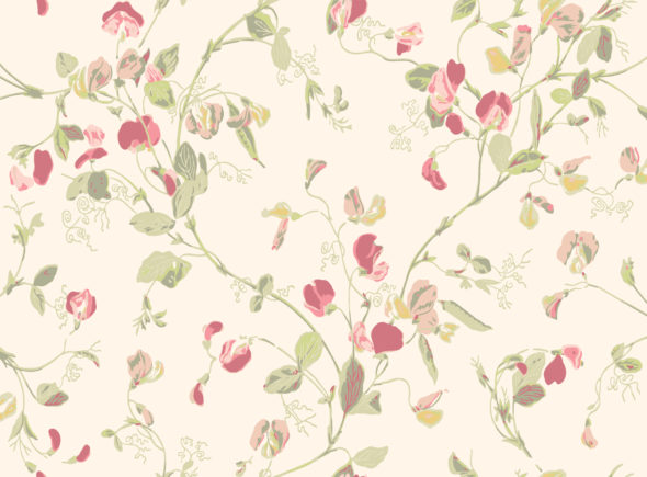 Sweet Pea 100-6028 wallpaper Botanical Cole & Son