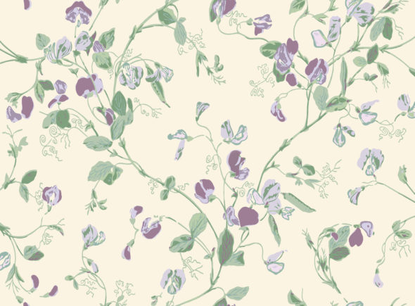 Sweet Pea 100-6030 wallpaper Botanical Cole & Son