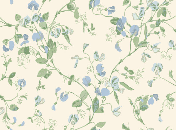 Sweet Pea 100-6031 wallpaper Botanical Cole & Son