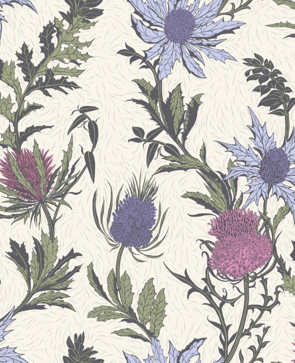 Thistle 115-14044 wallpaper Botanical Cole & Son