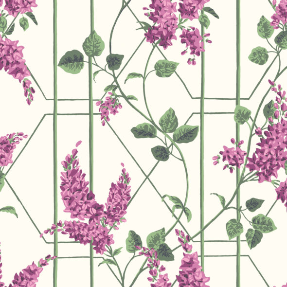 Wisteria 115-5013 wallpaper Botanical Cole & Son